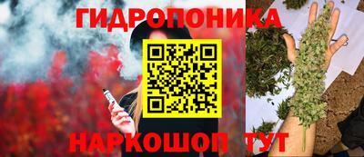крисы Тулун