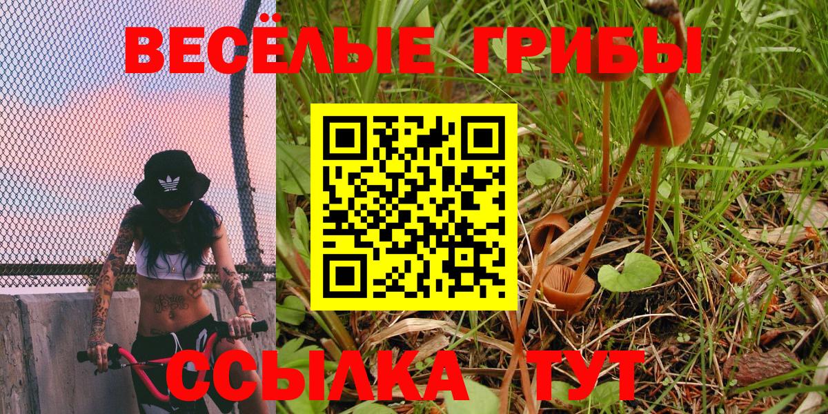 Выкса  Галлюциногенные грибы Psilocybine cubensis  Вход с VPN 