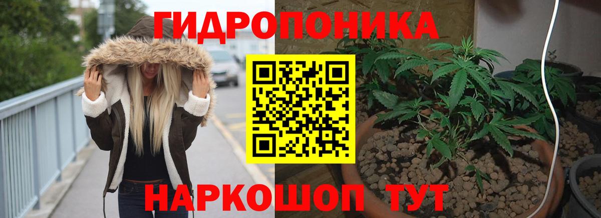 Каннабис сатива Выкса